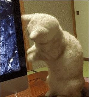 20150208214150cc0.gif