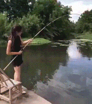 8c7ac78c7ac7.gif