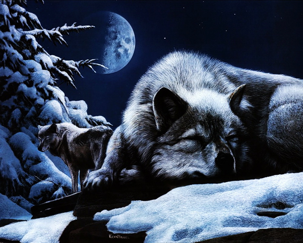 Доброй ночи волк