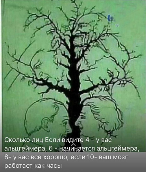 http://s01.yapfiles.ru/files/2296311/.jpg