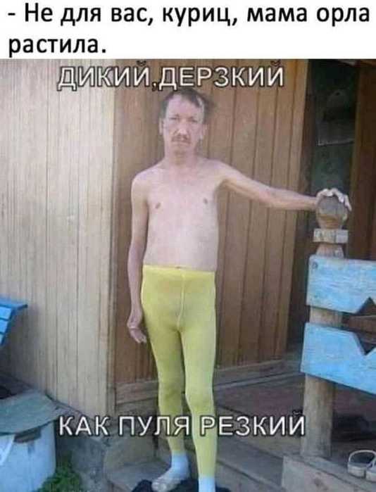 http://s01.yapfiles.ru/files/2298157/5.jpg