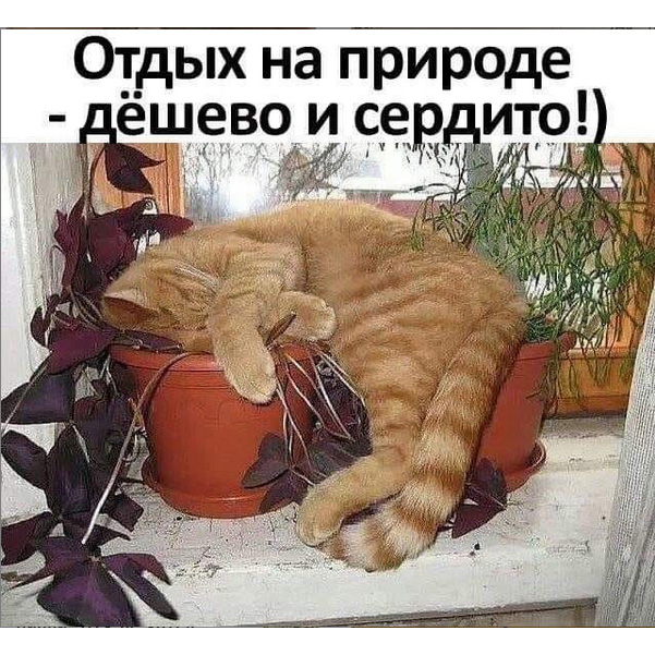http://s01.yapfiles.ru/files/2298175/14.jpg