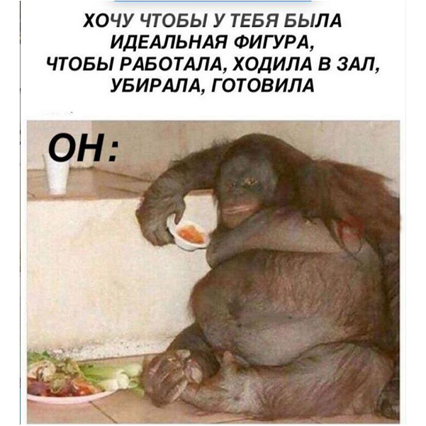 http://s01.yapfiles.ru/files/2298181/19.jpg