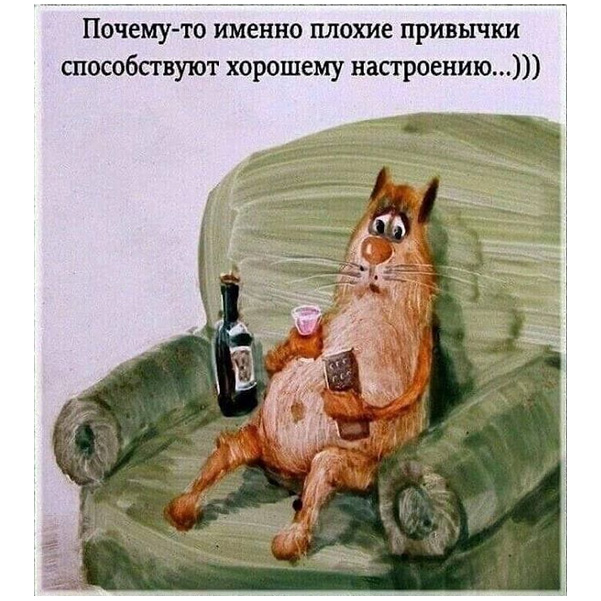 http://s01.yapfiles.ru/files/2298187/24.jpg