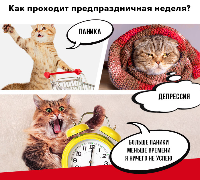 http://s01.yapfiles.ru/files/2305935/1.jpg
