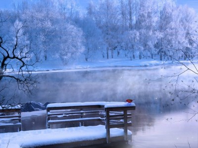 Зимнее утро на реке