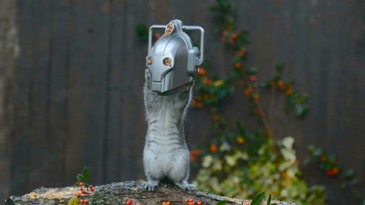 Cyber Squirrel is new Doctor Who alien