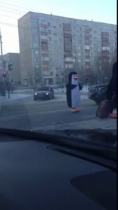 Пингвины переходят дорогу в Сургуте