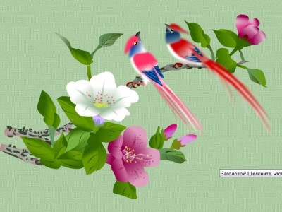 Райские птички
