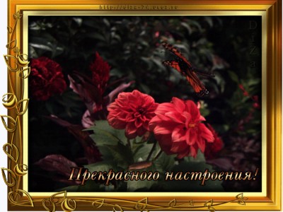 Richard Glayderman - La Vie En Rose