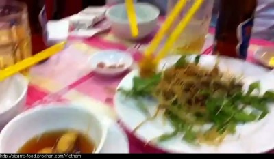Вьетнамский деликатес