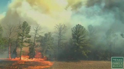 See how fast wildfire spreads - Texas Parks and Wildlife [Official]