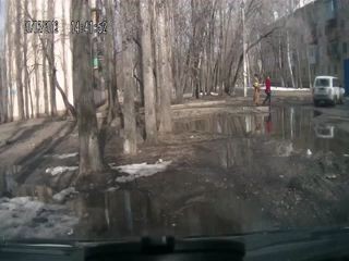 Падение дерева на дорогу