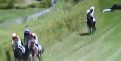 Столкновение лошадей на скачках