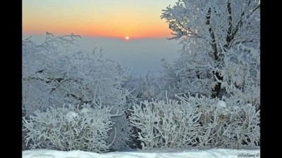 Природа и пейзажи Ульяновской области. Зима