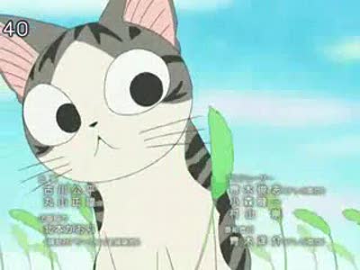 Ахуитительный котенок