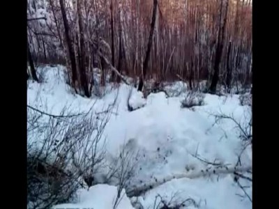 Русская охота на медведя