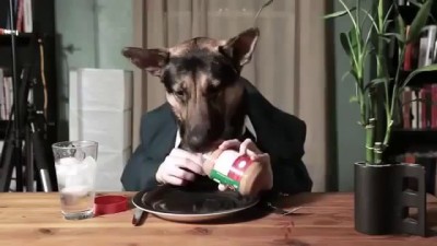 Собака за столом