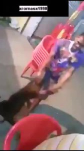 Мудак издеваться над собакой ...