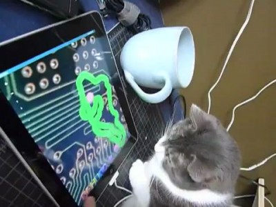 Кот Василий против iPad`а | Котач :3