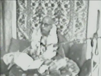 Животные с Бхагавад-Гитой