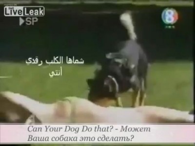 Can Your Dog Do that? - Может Ваша собака это сделать?