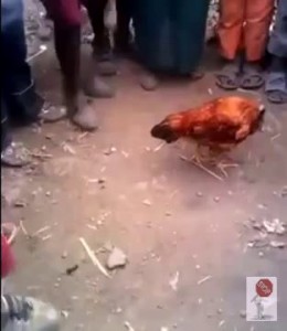 Безбашенный петя ...