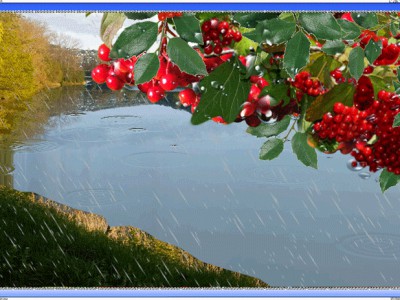 Калину красную целует дождь хмельной.