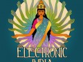 Electronic India, Vol. 1 (Indian Flavoured Lounge Tunes)