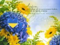 the-sky-flowers-nature-yellow-wallpaper-preview