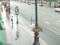 Смерть пешехода на Невском проспекте