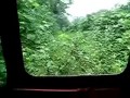 Поезд в лесу