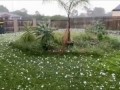Hailstones , Australia!