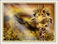 жираф