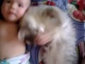 Котейка любит малыша