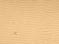 sand-texture
