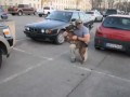 Собака радуется возвращению хозяина из армии