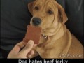 собакен и печенька