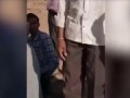 Смертельное фото. В Индии кобра укусила туриста во время съёмки