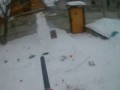 Расстрел снеговика