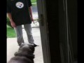 Собака и дверь