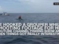 Watch shark flip over kayaker in middle of ocean