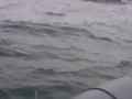 Рыбаки столкнулись с Атомной подводной лодкой в Японском море