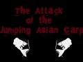 The Attack of the Jumping Asian Carp - Reel Shot TV