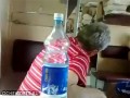 Бабуля и заколдованная бутылка
