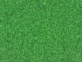 cover_background_light_grass_carpet_18416_1440x900