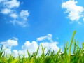 grass-wallpaper-sky-pictures-desktop