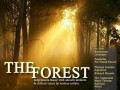VA - The Forest Chill Lounge