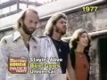 bee gees - stalin'alive