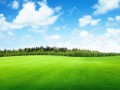 landscape-nature-grass-sky-field-green-horizon-structure-golf-course-grassland-pasture-meadow-plain-